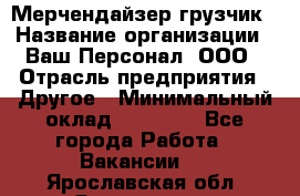 Мерчендайзер-грузчик › Название организации ­ Ваш Персонал, ООО › Отрасль предприятия ­ Другое › Минимальный оклад ­ 40 000 - Все города Работа » Вакансии   . Ярославская обл.,Ярославль г.